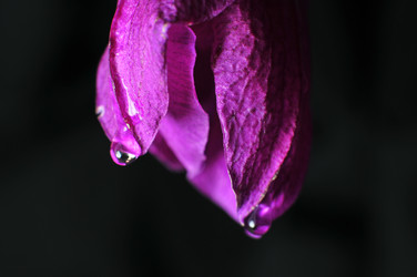 Similar image 7840009