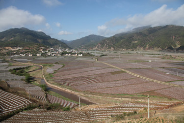 Similar image 7840011