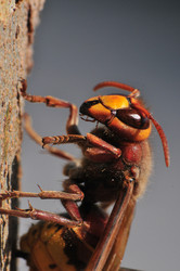 Similar image 7840023