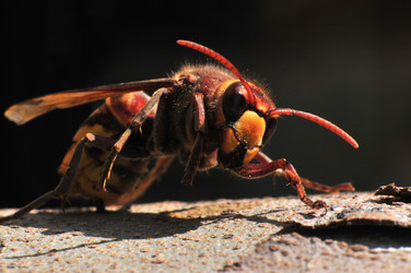 Similar image 7840024