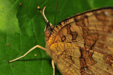 Similar image 7840025