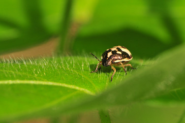 Similar image 7840026