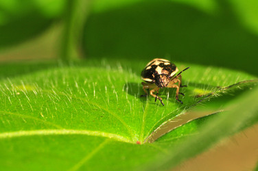 Similar image 7840027