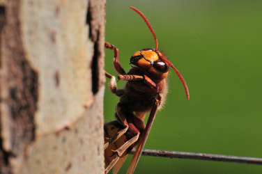 Similar image 7840028