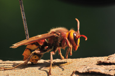 Similar image 7840029