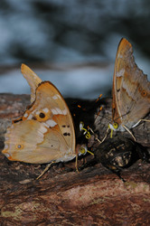 Similar image 7840030