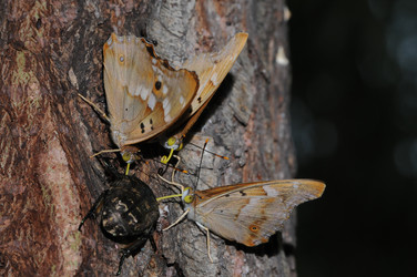 Similar image 7840031