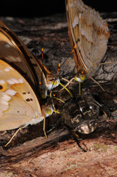 Similar image 7840032