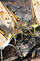 Similar image 7840033