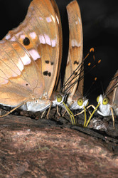 Similar image 7840034