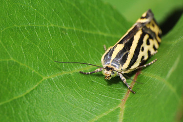 Similar image 7840035