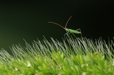 Similar image 7840036