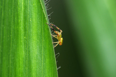 Similar image 7840037