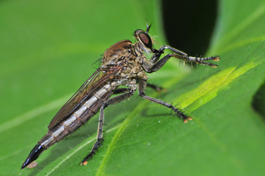 Similar image 7840038