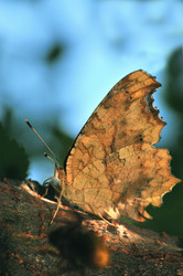 Similar image 7840039