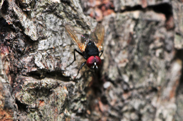 Similar image 7840043