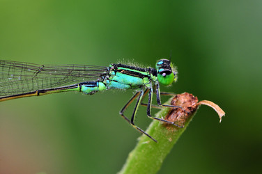 Similar image 7840045