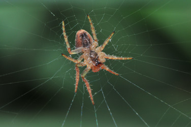 Similar image 7840047