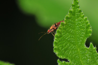 Similar image 7840050