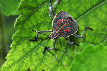 Similar image 7840051