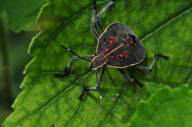 Similar image 7840052