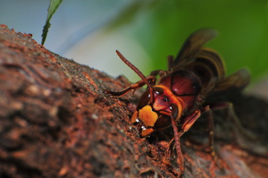 Similar image 7840054