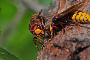 Similar image 7840055