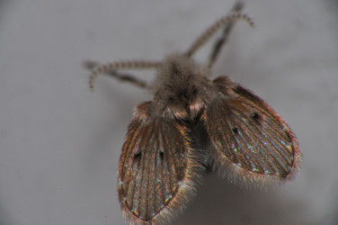 Similar image 7840056