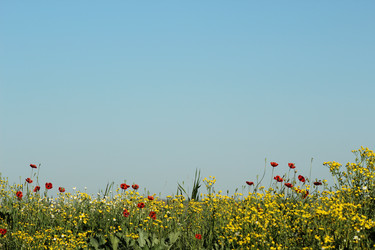 Similar image 7840084