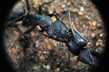 Similar image 7840116