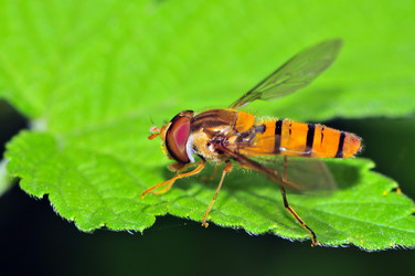 Similar image 7840120