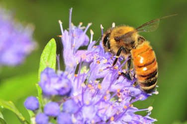 Similar image 7840122