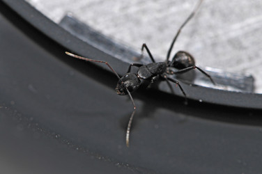 Similar image 7840127