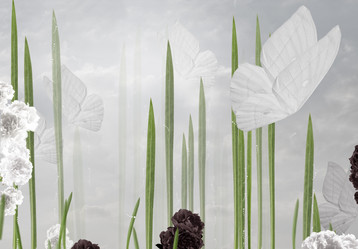 Similar image 7840135