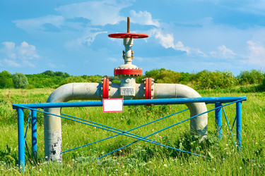 Similar image 7840272