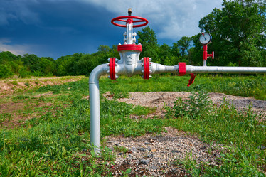 Similar image 7840307