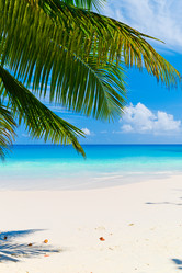 Similar image 7840309