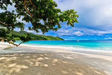 Similar image 7840313