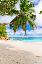 Similar image 7840315