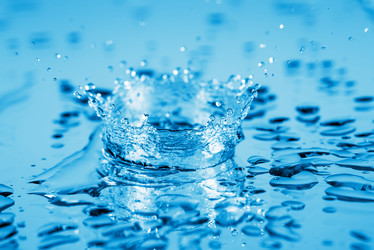 Similar image 7840337