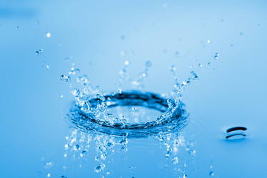 Similar image 7840346