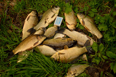 Similar image 7840765