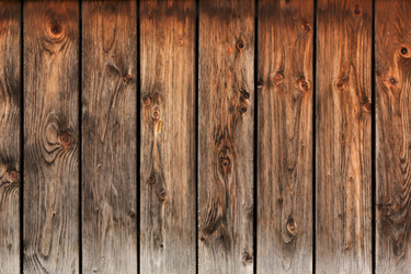 Similar image 7841116