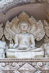 Similar image 7841132