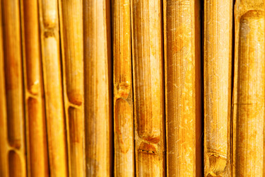 Similar image 7841133