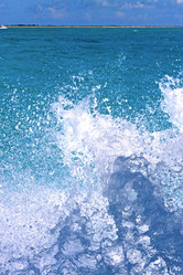 Similar image 7841144