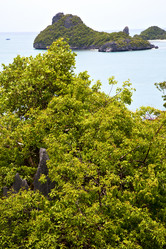 Similar image 7841163