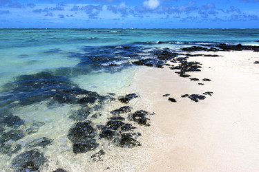 Similar image 7841515