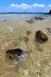 Similar image 7841519