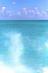 Similar image 7841549